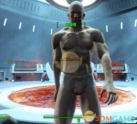 《辐射4》【铁卫兵合成人】代码大全一览