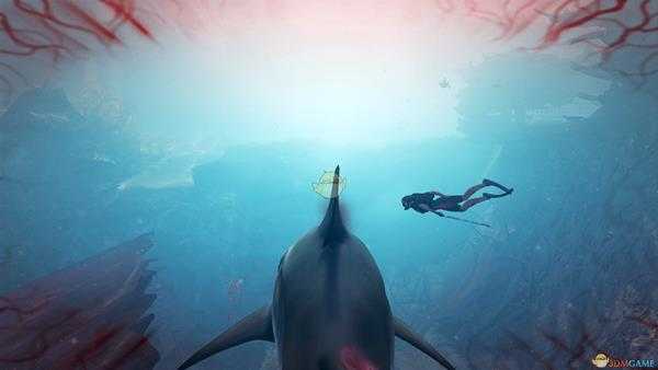 《食人鲨》心得分享