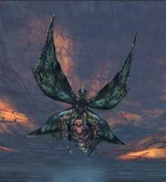 《最后的神迹》鸟翅蝶位置攻略