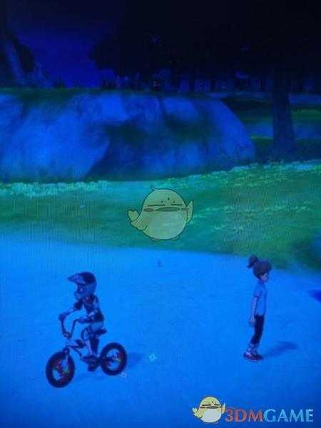 《宝可梦：剑/盾》揖礼原野地鼠位置分享