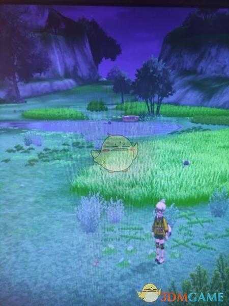 《宝可梦：剑/盾》清凉湿原地鼠位置分享