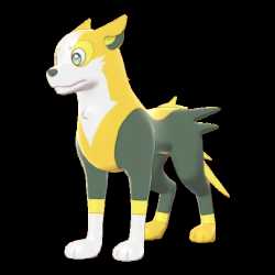 《宝可梦：剑/盾》逐电犬63单打配招