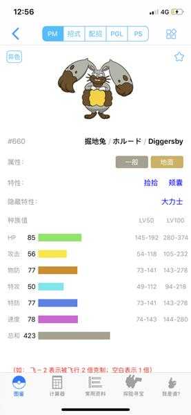 《宝可梦：剑/盾》掘地兔63单打配招