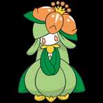 《宝可梦：剑/盾》铠之孤岛裙儿小姐图鉴