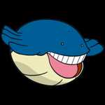 《宝可梦：剑/盾》铠之孤岛吼吼鲸图鉴