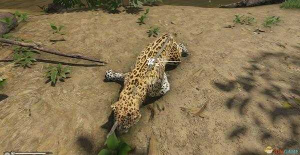 《绿色地狱》全刀类武器合成配方一览