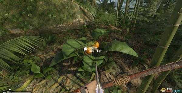 《绿色地狱》全盔甲类防具合成配方一览