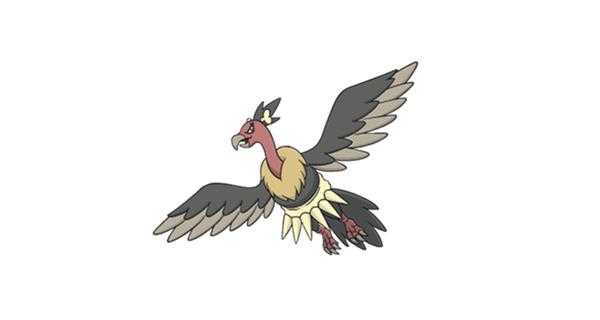 《宝可梦：剑/盾》铠之孤岛秃鹰娜图鉴