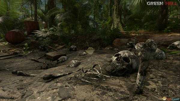 《绿色地狱》食物中毒注意事项分享