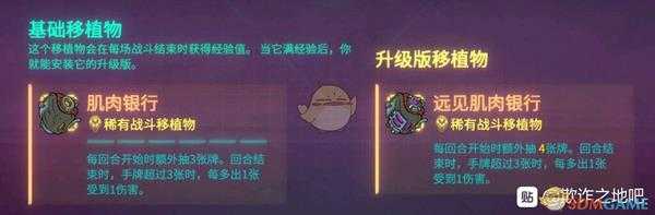 《欺诈之地》萨儿肌肉银行介绍