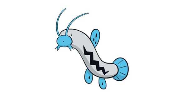 《宝可梦：剑/盾》铠之孤岛泥泥鳅图鉴