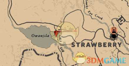 《荒野大镖客2》欧万吉拉湖鱼类产出介绍