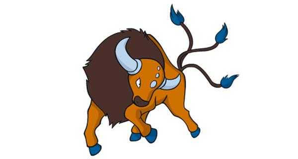 《宝可梦:剑/盾》铠之孤岛肯泰罗图鉴