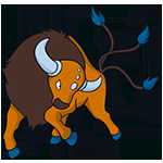 《宝可梦:剑/盾》铠之孤岛肯泰罗图鉴