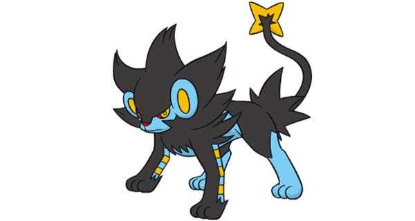 《宝可梦：剑/盾》铠之孤岛伦琴猫图鉴