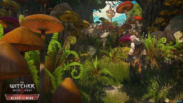 《巫师3：狂猎》全次要武器代码一览