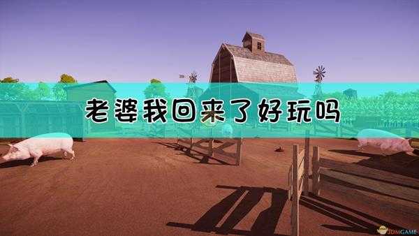 老婆我回来了好玩吗