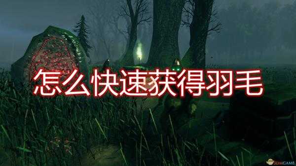 《Valheim:英灵神殿》快速获得羽毛方法介绍