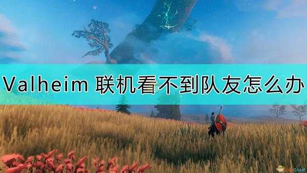 《Valheim:英灵神殿》联机看不到队友的原因