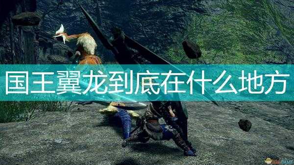 《怪物猎人:崛起》国王翼龙具体位置分享