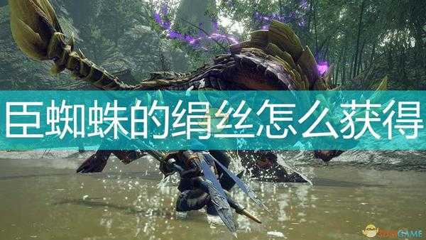 《怪物猎人：崛起》臣蜘蛛的绢丝获得方法介绍