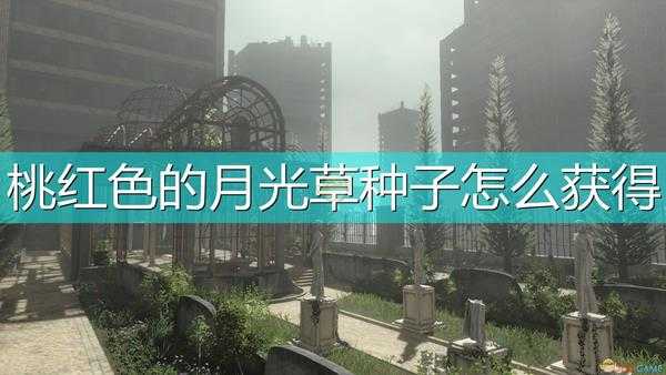 《尼尔:伪装者》桃红色的月光草种子获得方法介绍