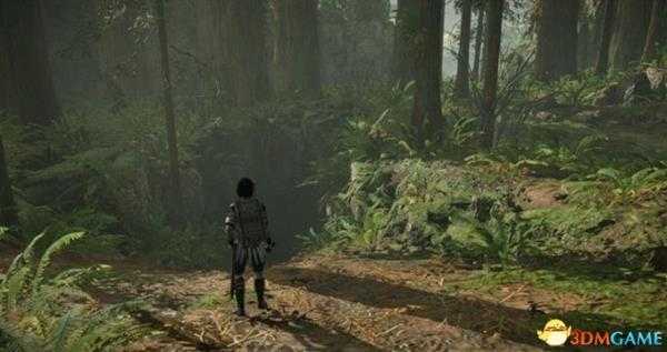 旺达与巨像白金成就路线攻略