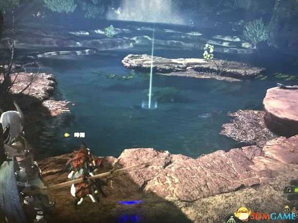 怪物猎人世界全稀有鱼类出现位置汇总