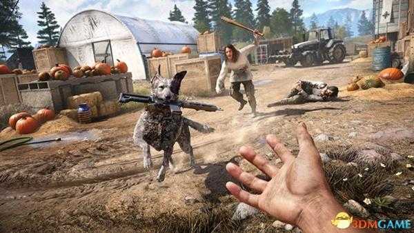 孤岛惊魂5全奖杯一览 孤岛惊魂5白金成就达成条件