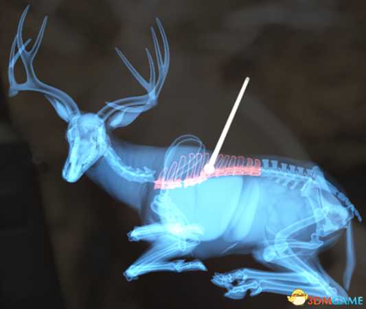 猎人荒野的呼唤个动物秒杀位置介绍