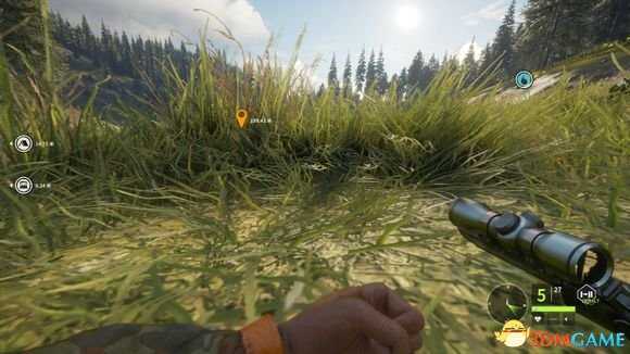 猎人荒野的呼唤个人狩猎套路技巧