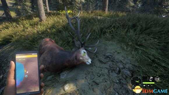 猎人荒野的呼唤个人狩猎套路技巧