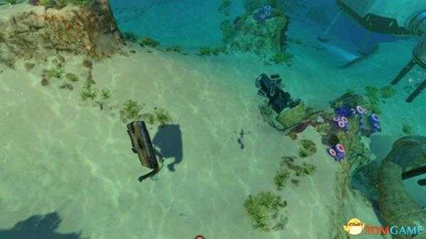 美丽水世界宠物养殖方法 美丽水世界如何饲养宠物