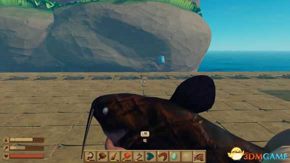 Raft食物都什么属性 食物数值攻略