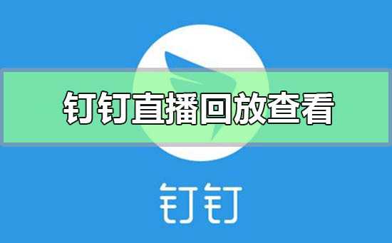 钉钉直播回放在哪里怎么看?钉钉手机直播回放查看方法