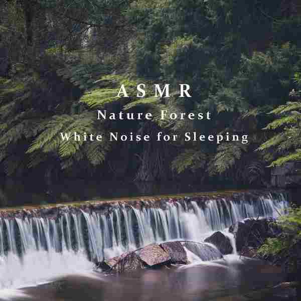 貴族音樂深度睡眠-白噪音深眠自然森林之聲2021[wav]