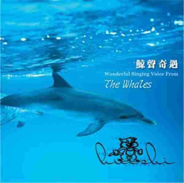王俊雄-大自然音乐系列6鲸声奇遇[WAV+CUE]