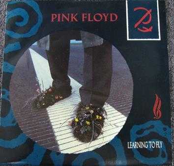 PinkFloyd-TheSinglesCollection(flac24-96)
