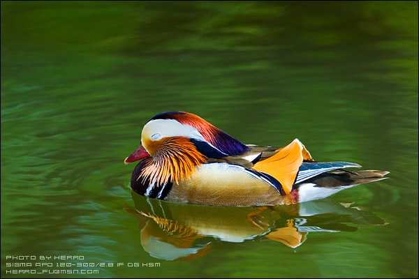 旅行摄影小技巧:远近动静都不怕