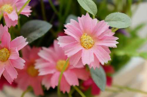 摄影爱好者必看:N个让你狂省万元的摄影妙招 何须买牛头?