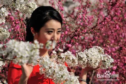 数码单反相机拍摄入门技巧心得之二:力求画面简洁