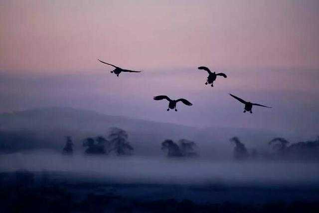 手把手教你,只要简单3步 就能拍出完美剪影