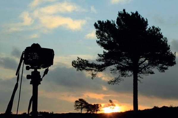 手把手教你,只要简单3步 就能拍出完美剪影