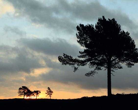 手把手教你,只要简单3步 就能拍出完美剪影