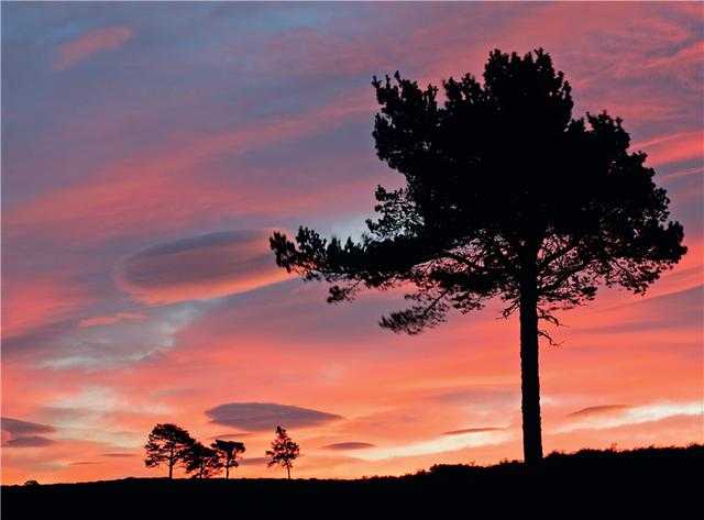 手把手教你,只要简单3步 就能拍出完美剪影