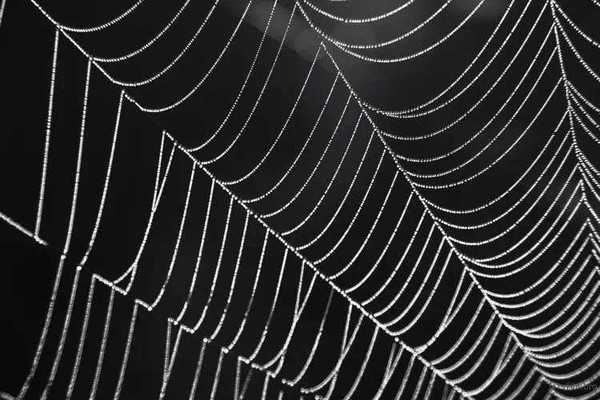 如何调整相机的白平衡拍出创意色调